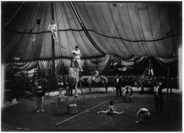 medium_Circo_Espana_80e9c4428f.jpg
